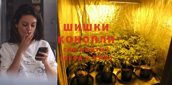 винт Алексин
