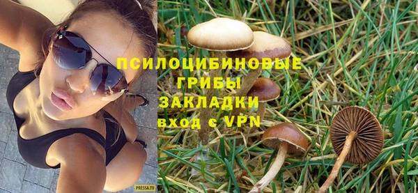 ешки Алексеевка