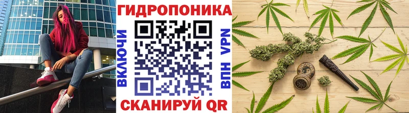 Шишки марихуана Amnesia Бобров